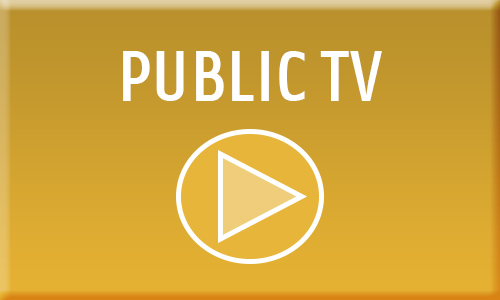 public tv